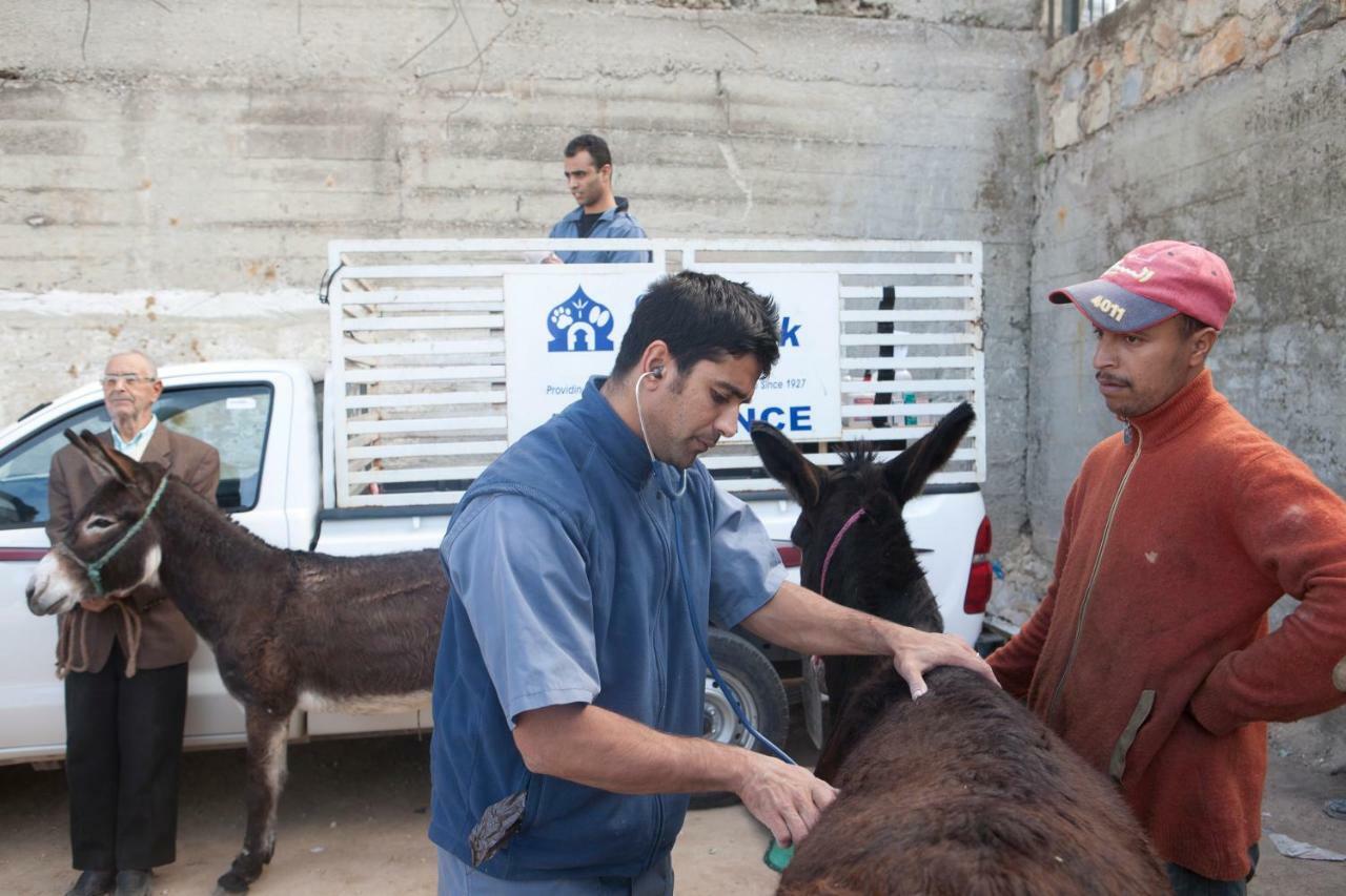 מולאי אידריס Dar Zerhoune מראה חיצוני תמונה